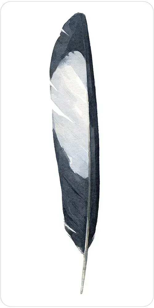 DIvine Feather Messenger