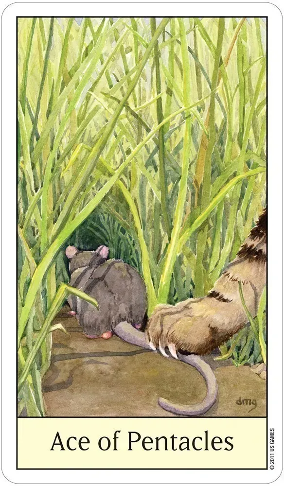 Cat’s Eye Tarot