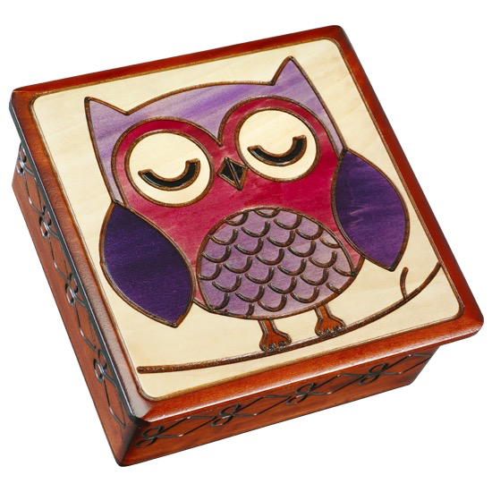 Sleeping Owl on a Branch Wood Box