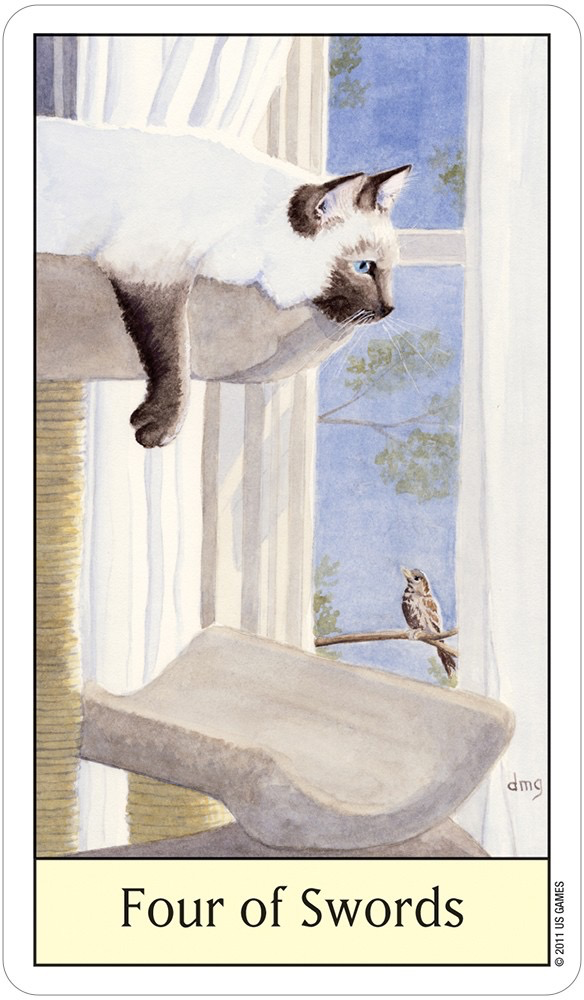 Cat’s Eye Tarot