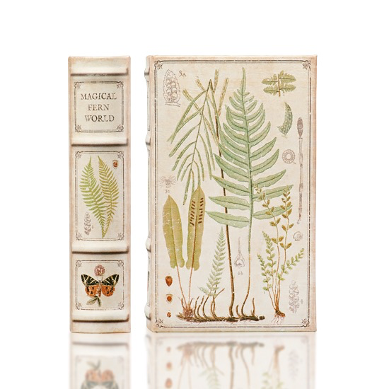 Magical Fern World Book Box