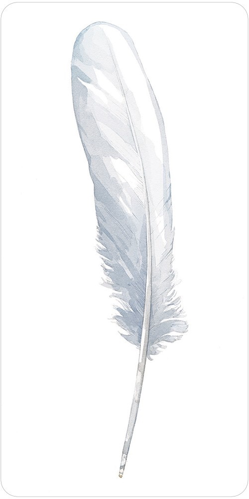 DIvine Feather Messenger