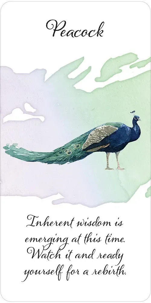 DIvine Feather Messenger
