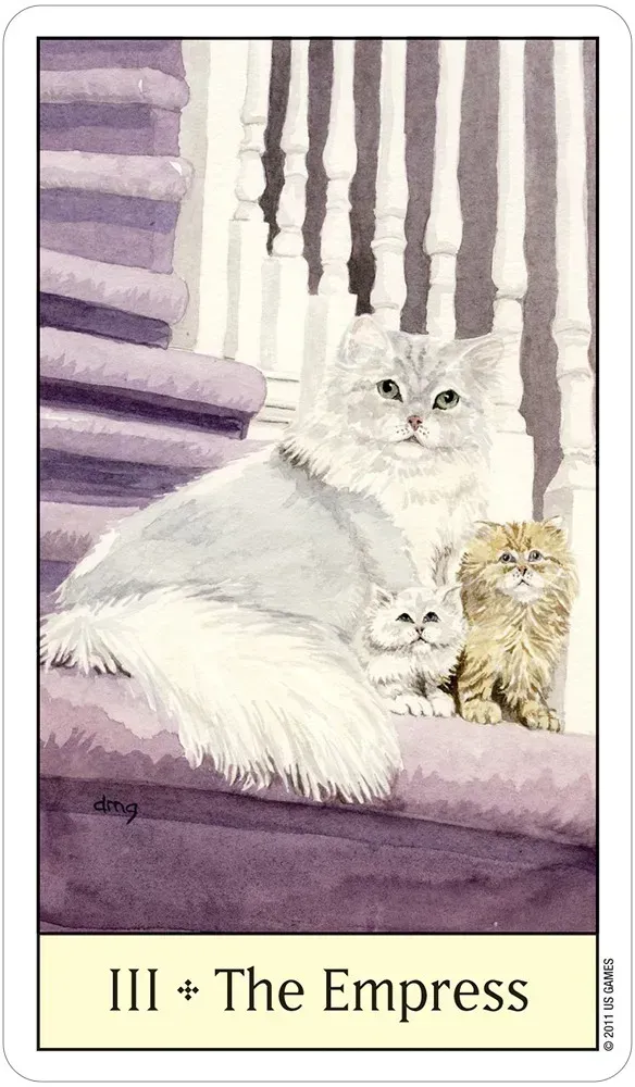 Cat’s Eye Tarot