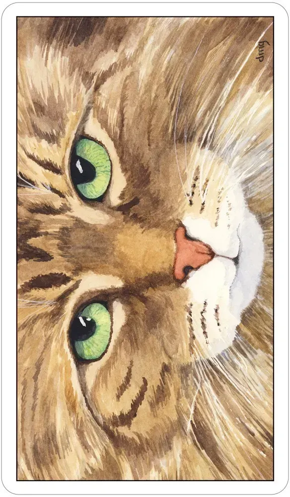 Cat’s Eye Tarot