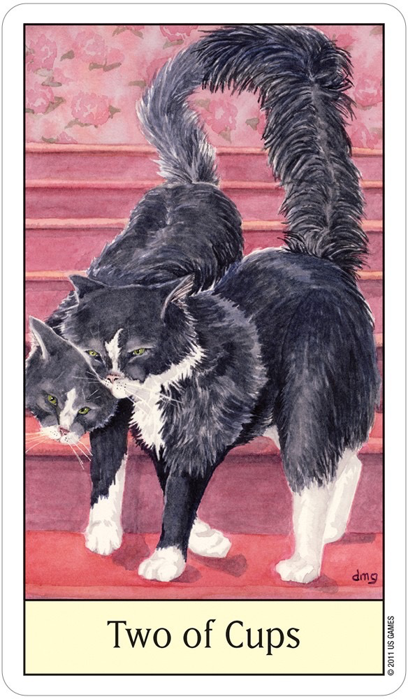 Cat’s Eye Tarot