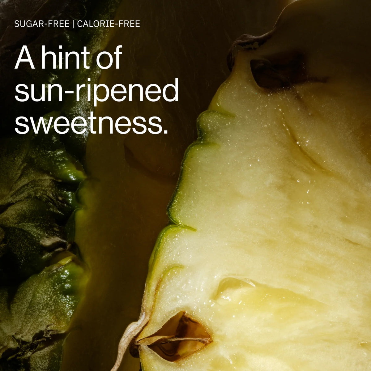 H2TAB Molecular Hydrogen Pineapple