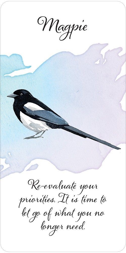 DIvine Feather Messenger