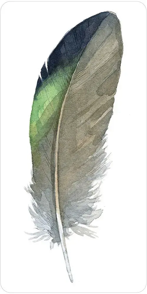 DIvine Feather Messenger